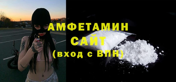 амф Бородино