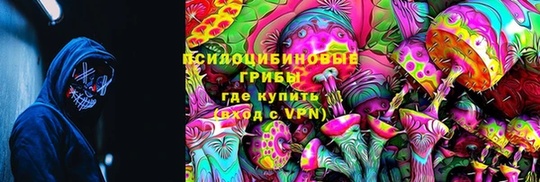 амф Бородино