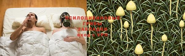 амф Бородино