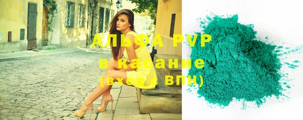 амф Бородино