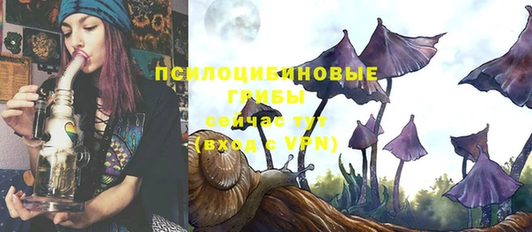 прущая мука Бронницы