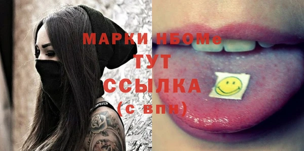 амф Бородино