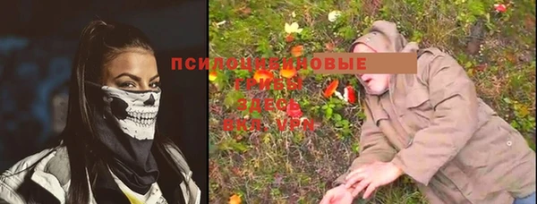 прущая мука Бронницы