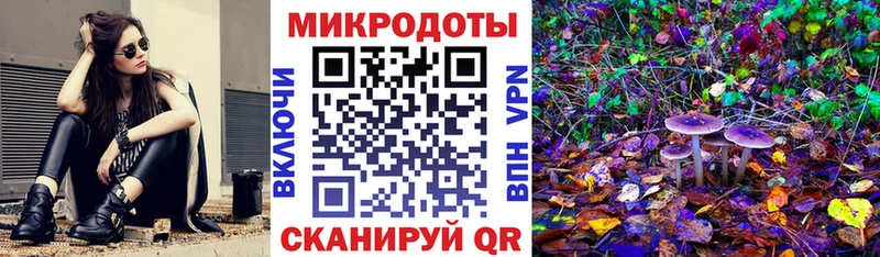 купить  сайты  Клинцы  Галлюциногенные грибы MAGIC MUSHROOMS 